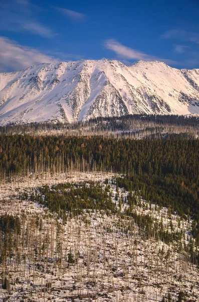 Schöne Berglandschaft Vorfrühling Blick Auf Die Schneeweißen Gipfel Der Polnischen — Stockfoto