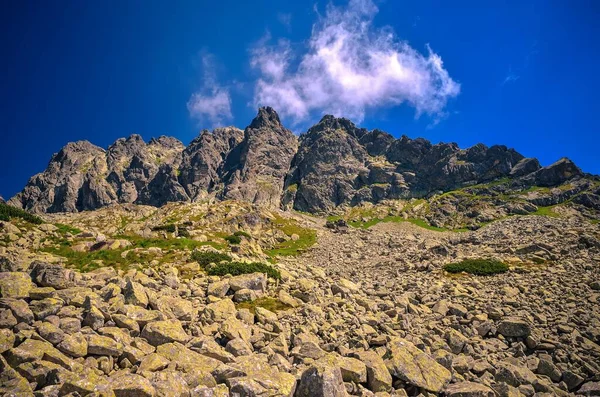Schöne Sommerliche Berglandschaft Tageslandschaft Blick Auf Einen Felsigen Berggipfel Tatra — Stockfoto
