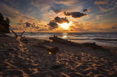 Polonya 'nın Gdynia kentindeki Baltık Denizi' nde rüya gibi güzel bir sabah. Gün doğumunda kumlu bir sahilde ağaç dalları.