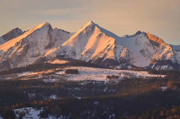 Affascinante Panorama Dei Monti Tatra Polacchi Mattino Veduta Del Belianske — Foto Stock