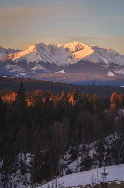 Charmantes Panorama Der Polnischen Tatra Morgen Blick Auf Die Westtatra — Stockfoto