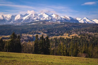 Sabah Polonya Tatra Dağları 'nın büyüleyici manzarası. Polonya 'nın Lapszanka köyünden Yüksek Tatra manzarası.