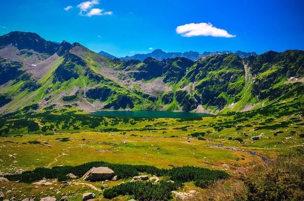Letni Krajobraz Górski Słoneczny Dzień Malowniczy Widok Jezioro Dolinie Grzbiet — Zdjęcie stockowe
