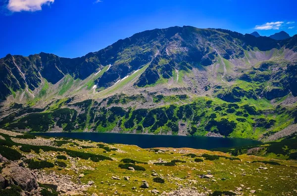 夏日阳光明媚的山景 波兰塔特拉山谷地的湖面和山顶上都是风景如画的风景 — 图库照片
