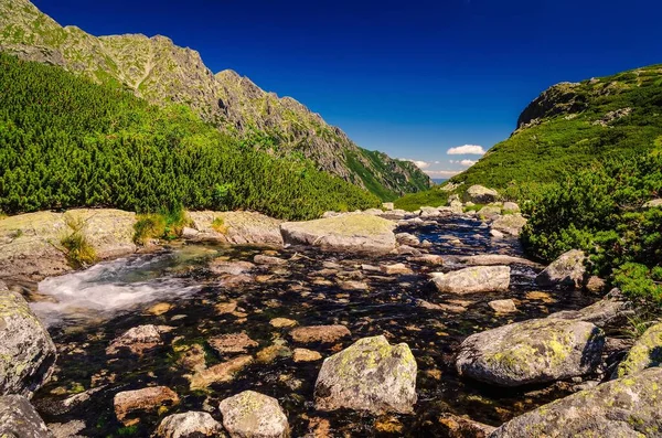 Summer Mountain Landscape Picturesque View Stretches Stream Rocky Summits Five — Stock Photo, Image