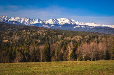 Sabah Polonya Tatra Dağları 'nın büyüleyici manzarası. Polonya 'nın Lapszanka köyünden Yüksek ve Batı Tatra manzarası.