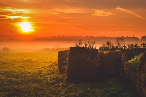 Sabahın Erken Saatlerinde Tarlada Saman Yığınları Yaz Mevsiminde Güneş Doğarken — Stok fotoğraf
