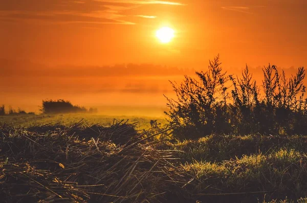 Vidéki Táj Kora Reggel Szalma Bokrok Legelőn Napkeltekor Lengyelország — Stock Fotó
