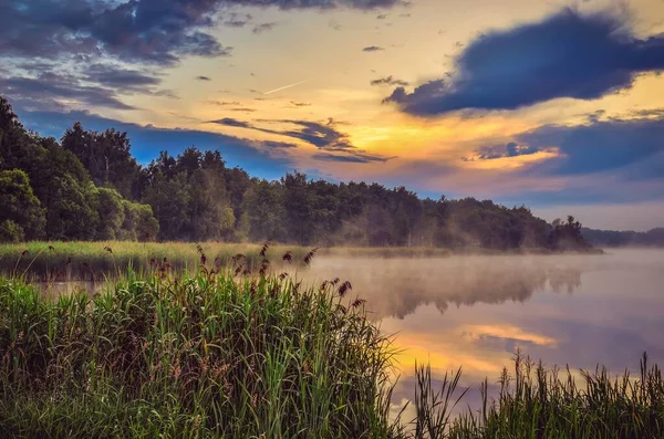 Утренний Красочный Пейзаж Озере Мбаппе Растения Озера Патроканы Тыхы Польша — стоковое фото