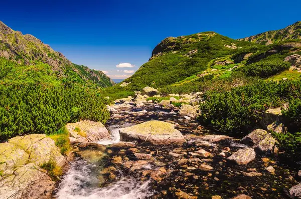 泰特拉山的夏季山景 波兰塔特拉山五个池塘谷 风景如画的景色跨越了河流和岩石的峰顶 — 图库照片