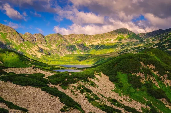 Jezioro Górach Letniej Scenerii Rano Malowniczy Widok Jeziora Dolinie Pięciu — Zdjęcie stockowe
