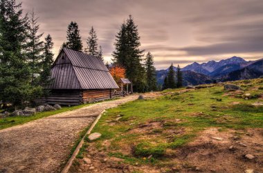 Wooden hut and path in beautiful mountains. Beautiful rural landscape at Rusinowa Polana in High Tatras, Poland. clipart