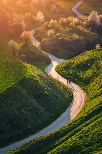 Зеленый Весенний Пейзаж Польской Деревне Извилистая Дорога Среди Зеленой Травы — стоковое фото