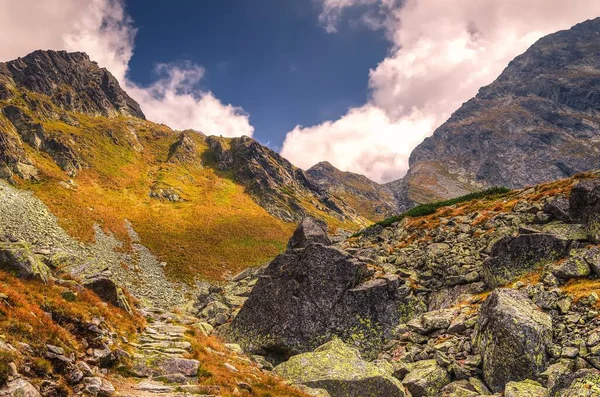 Літній Гірський Ландшафт Сонячний День Чудовий Гірський Шлях Високій Татрі — стокове фото