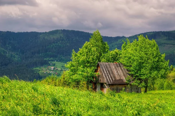 Krajobraz Górski Sezonie Wiosennym Widok Drewnianej Chaty Polany Wśród Drzew — Zdjęcie stockowe