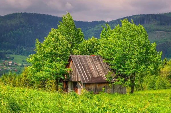 Zielony Krajobraz Górski Sezonie Wiosennym Widok Drewnianej Chaty Polany Wśród — Zdjęcie stockowe
