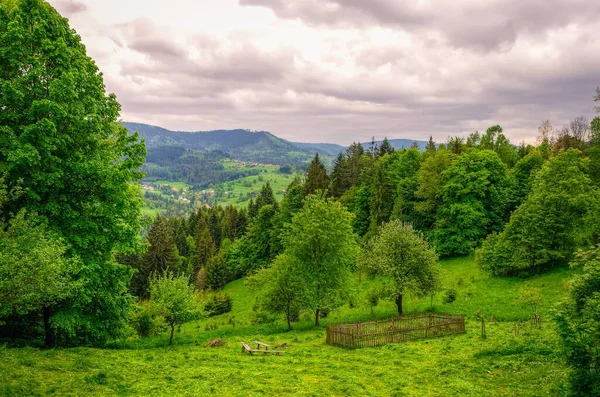 春天的绿色山水 波兰别斯基什山脉绿山上的山谷和木制障碍物上 都是风景如画的风景 — 图库照片