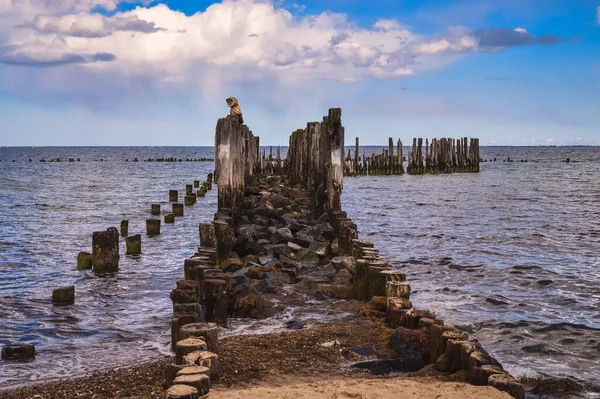 Vacker Sommarutsikt Vid Havet Trästockar Östersjön Gdynia Polen — Stockfoto