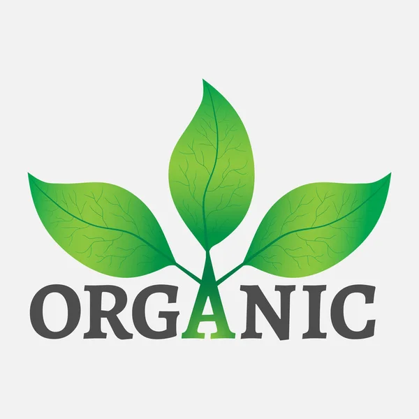 Organic Concept Logo Green Leaves Tree Organic Text White Background — Stock Vector