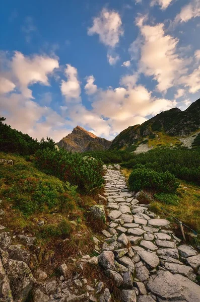 波兰塔特拉山高原地区的夏季风景 高山与绿色植物之间的石路 — 图库照片