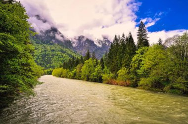 Bahar mevsiminde Avustralya dağlarında nehir. Avusturya Alpleri 'nin Salzkammergut bölgesinde dağlardan akan tren nehri..