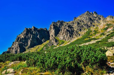 Rocky mavi gökyüzüne karşı zirve yapıyor. Slovakya, High Tatra 'da yaz dağı manzarası. 