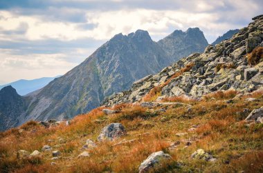 Slovak dağlarında yaz dağı manzarası. Slovakya 'daki yüksek Tatra Dağı manzarası.