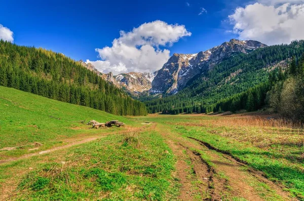 Letní Horská Krajina Polských Horách Malé Údolní Louky Západních Tatrách — Stock fotografie