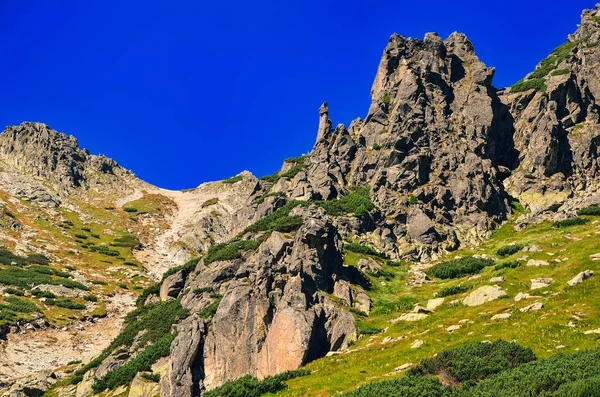 Verão Paisagem Montanha Montanhas Eslovacas Picos Rochosos Contra Céu Azul — Fotografia de Stock