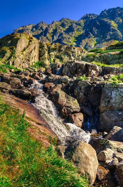 在斯洛伐克山区的夏季山地景观 斯洛伐克塔特拉山美丽的瀑布 — 图库照片