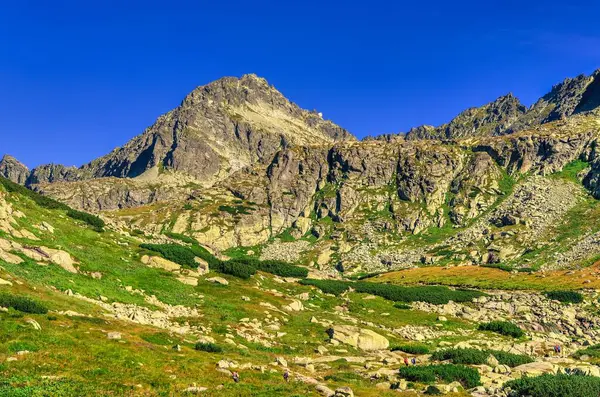 在斯洛伐克山区的夏季山地景观 蓝天下的落石峰 — 图库照片