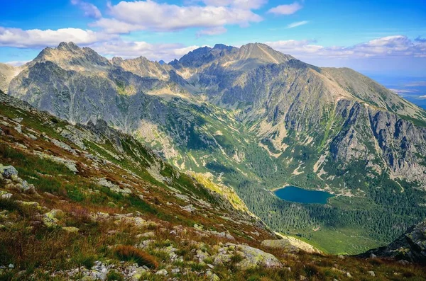 Slovak Dağlarında Yaz Dağı Manzarası Slovakya Nın Yüksek Tatra Dağları — Stok fotoğraf