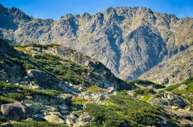 Slovak dağlarında yaz dağı manzarası. Slovakya, High Tatra 'da güzel kayalık zirveler.