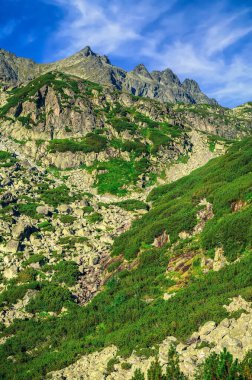 Slovak dağlarında yaz dağı manzarası. Slovakya 'daki Yüksek Tatra Dağları' nda Rocky zirveleri.