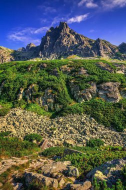 Slovak dağlarında yaz dağı manzarası. Slovakya, High Tatra 'da güzel kayalık zirveler.