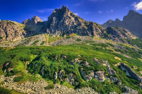 Slovak Dağlarında Yaz Dağı Manzarası Slovakya High Tatra Güzel Kayalık — Stok fotoğraf