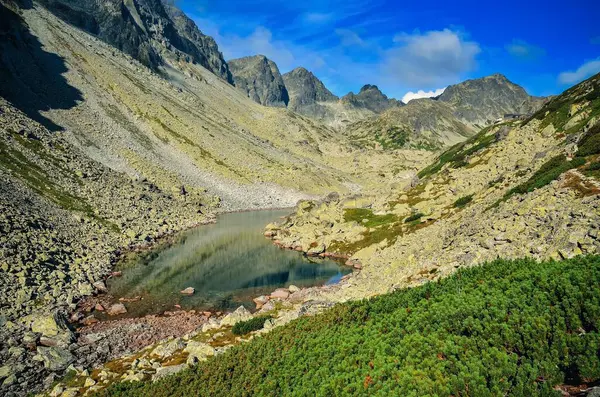 Letni Krajobraz Górski Słowackich Górach Piękna Dolina Jezioro Skaliste Szczyty — Zdjęcie stockowe