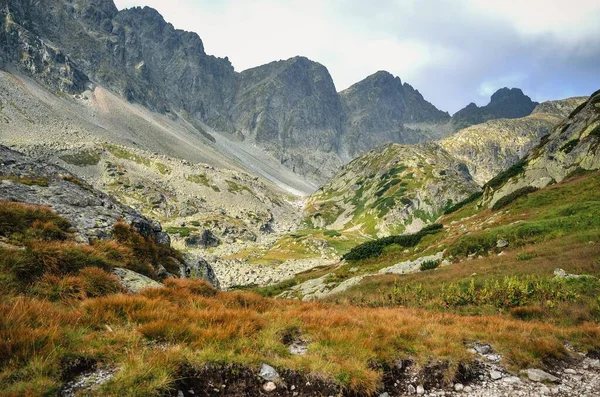 Letni Krajobraz Górski Słowackich Górach Piękna Górska Dolina Skaliste Szczyty — Zdjęcie stockowe
