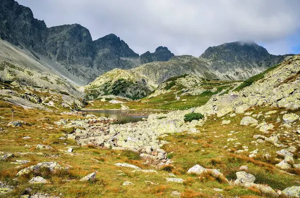 Letni Krajobraz Górski Słowackich Górach Piękna Dolina Szczyty Górskie Tatrach — Zdjęcie stockowe