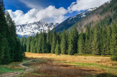 Polonya dağlarında bahar dağı manzarası. Batı Tatra, Polonya 'da karlı dağ zirvesi ve açıklığı.