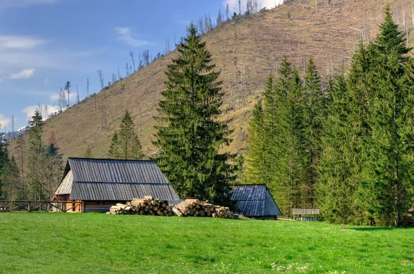 Wiosenny Krajobraz Górski Polskich Górach Drewniana Chata Dolinie Koscieliskiej Tatry — Zdjęcie stockowe