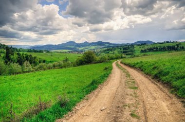 Polonya dağlarında bahar manzarası. Dağ yolu ve orman tepeleri.