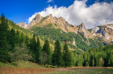 Polonya dağlarında bahar dağı kepçesi. Batı Tatra, Polonya 'da güzel vadi ve dağ zirveleri.