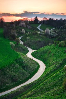 Polonya kırsalındaki güzel yeşil bahar manzarası. Yeşil çimenlerin ve çiçek açan ağaçların arasında dolambaçlı bir yol..