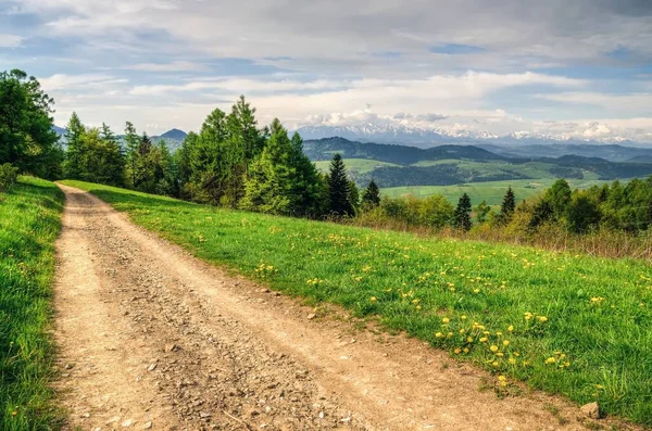 stock image Spring landscape in Polish mountains. Mountain trail and forested hills.