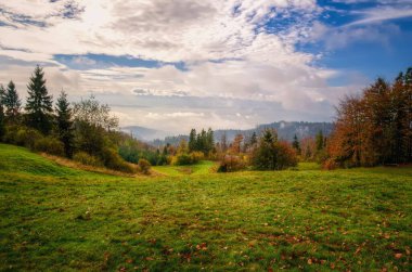 Kırsal arazi. Glade sonbaharda arka planda tepeler ve orman ile dağlarda, Beskidy dağlar, Polonya.