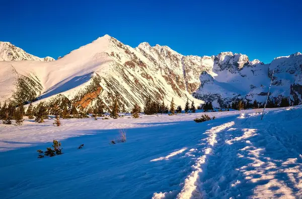 Polonya dağlarındaki güzel kış manzarası. Polonya 'nın Tatra Dağları' ndaki Ulusal Park 'taki Gasienicowa vadisine giden karlı patika..
