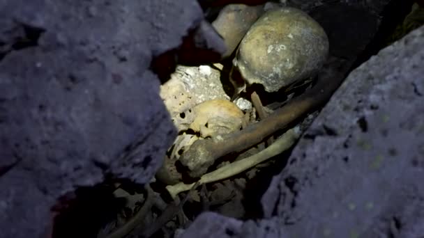 Nsan Kalıntıları Iskelet Kemikleri Kafatasları Eski Manastır Mahzeninde — Stok video
