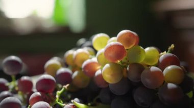 Güneşli bir yaz gününde mutfak masasında taze toplanmış üzümler.