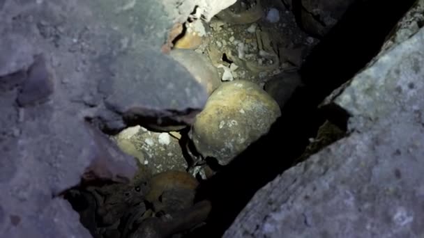 Human Remains Bones Skeleton Skulls Old Monastery Crypt — Stock Video